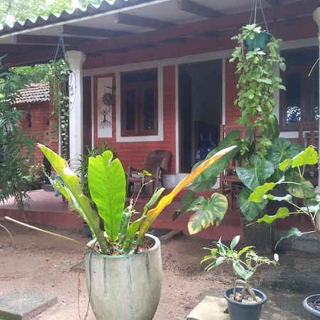 Angry Birds Homestay Habarana Camera foto